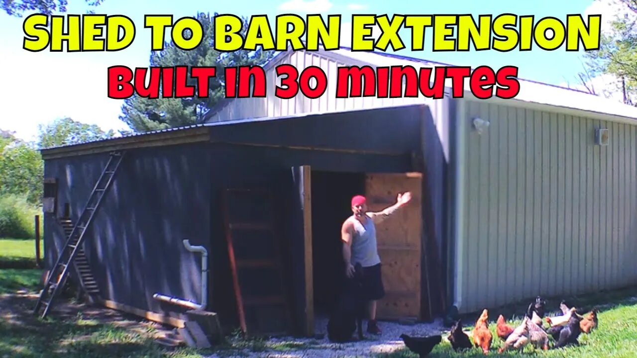 Ultimate LEAN-TO SHED Onto Existing Pole Barn In 30 Minutes + TOUR