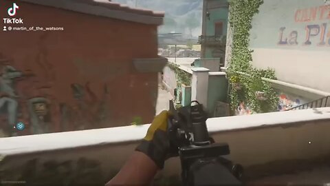 Silly Campers