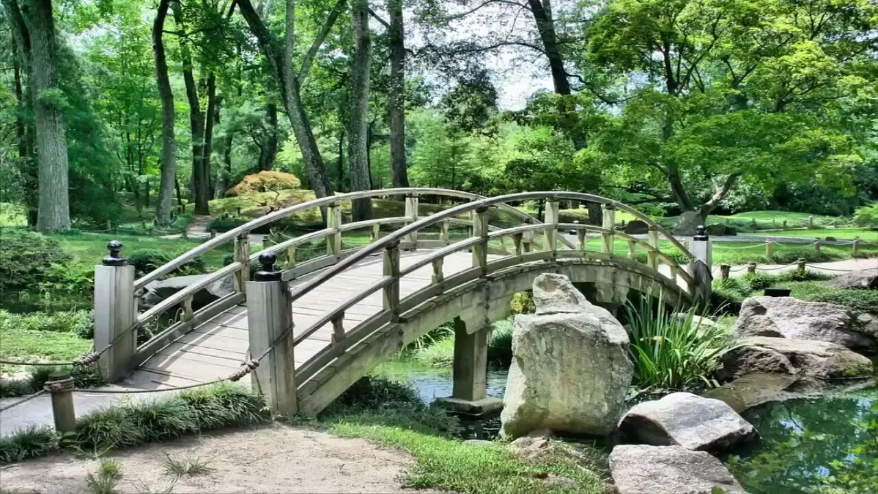 MÚSICA RELAXANTE PARA DORMIR OU MEDITAR 🧘♂️🧘♀️