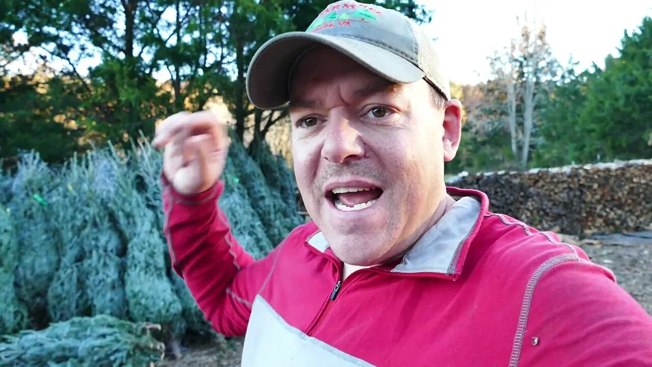 Our Tree Lot is Bigger and Better For 2021
