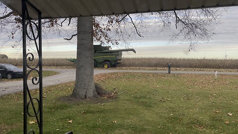 Harvest Time
