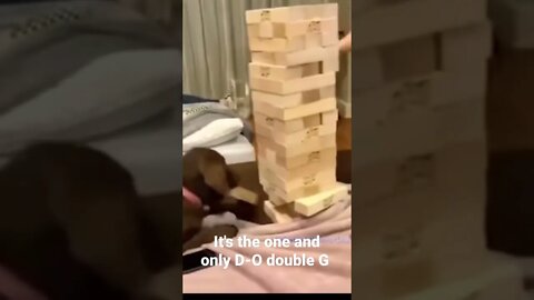 MEME is the one and only D-O double G #shorts