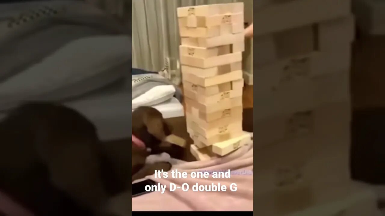 MEME is the one and only D-O double G #shorts