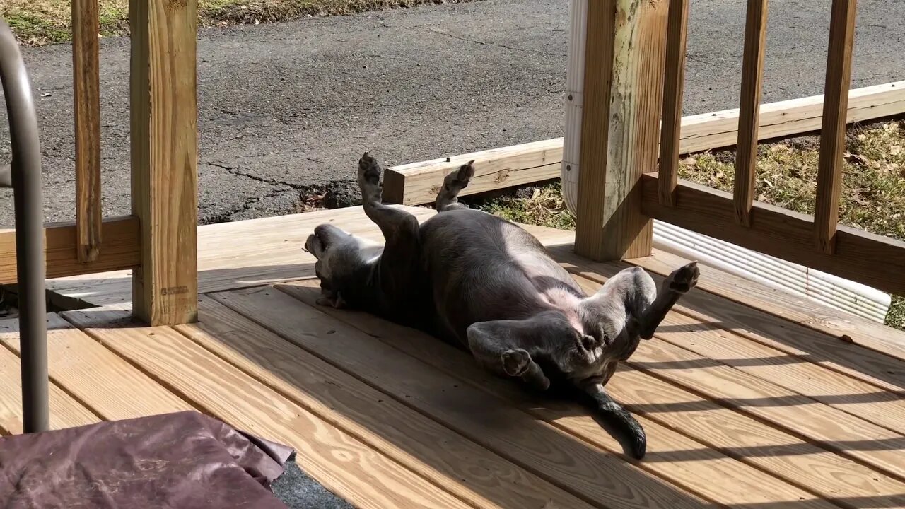 Collapsed carports/waiting on insurance adjusters