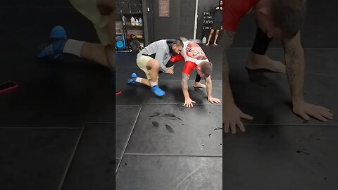 Wrestling Combo | Front Head and Arm to Low Single Leg Takedown #wrestling #nogi #grappling