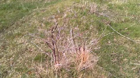 US Army Corp of Engineers Ditch - All watershed from Shine Hill Road & fields South of North Road