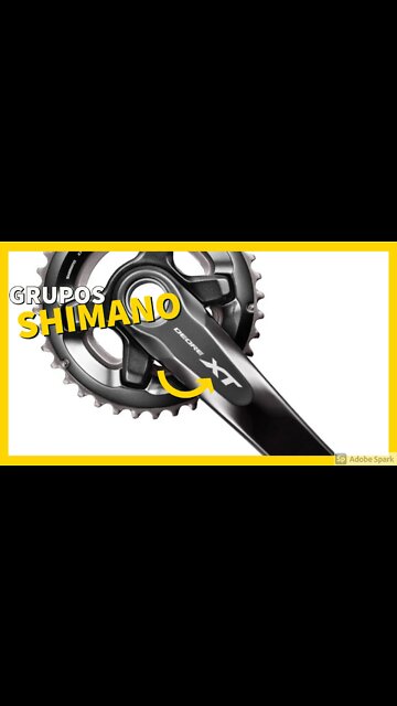 Quais os grupos de marchas da Shimano em 2021? Do básico ao de competição