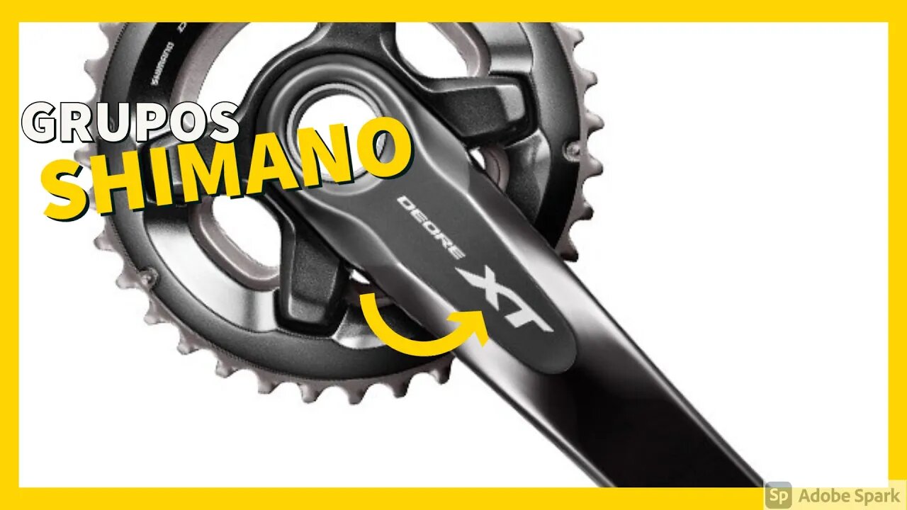 Quais os grupos de marchas da Shimano em 2021? Do básico ao de competição