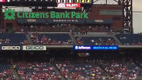 Courageous Squirrel Dive-Bombs Mid-Game And Scares Players Away