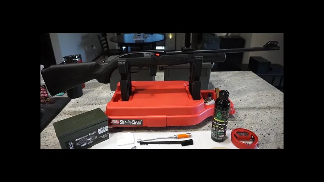 How to clean the Rossi RS22 and Mossberg 702 Plinkster