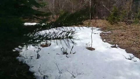 CHECKING OUT BEAVER DAM FOR FISHING.