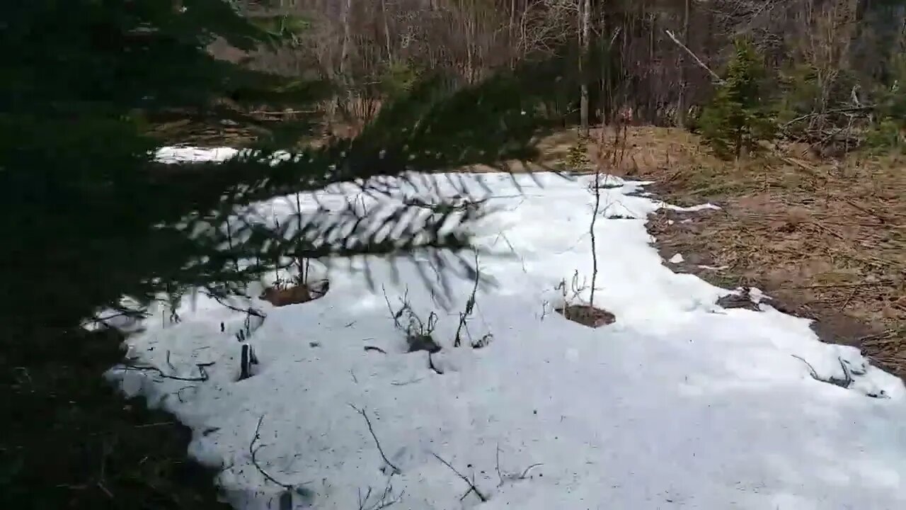 CHECKING OUT BEAVER DAM FOR FISHING.