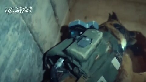 Al-Qassam Soldiers Attack Enemy Tanks, Soldiers... and a Dog