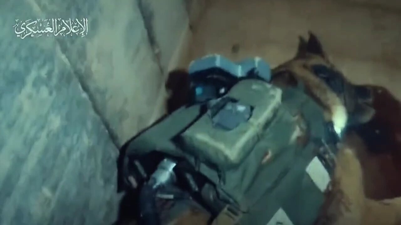 Al-Qassam Soldiers Attack Enemy Tanks, Soldiers... and a Dog
