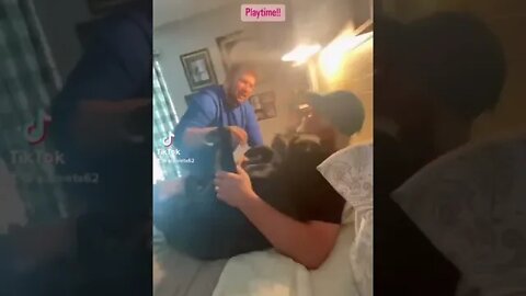 Sunday afternoon to relax and play!,