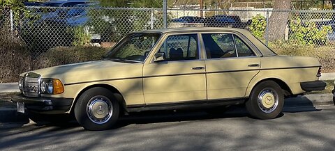Celebrating The Mercedes W-123