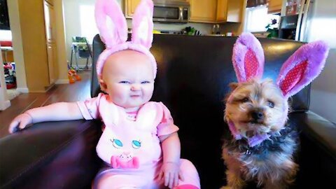 cute Dogs tik tok : lovely and cute moments