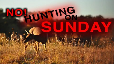 Insane Laws: Sunday Hunting Bans