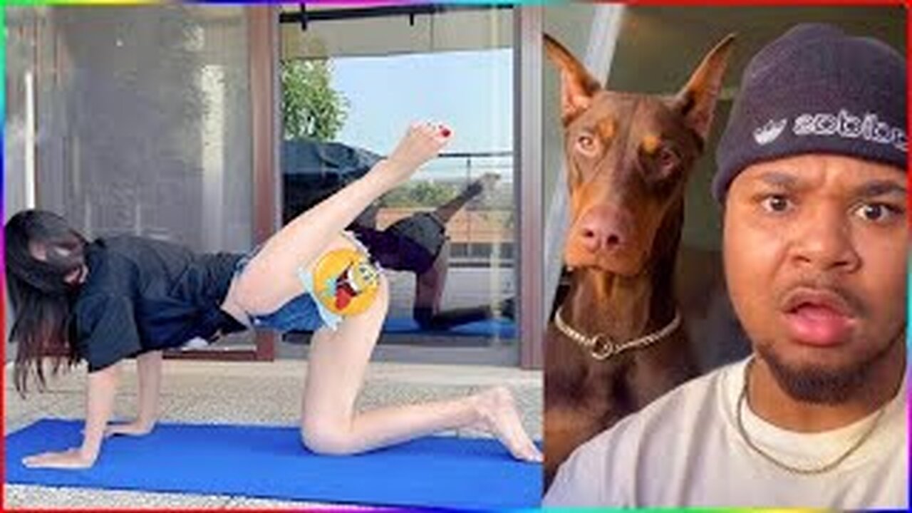 Funny Dog And Cat videos 😍🐶😻 Funniest Animals #11 #funny #animals #haha #lol