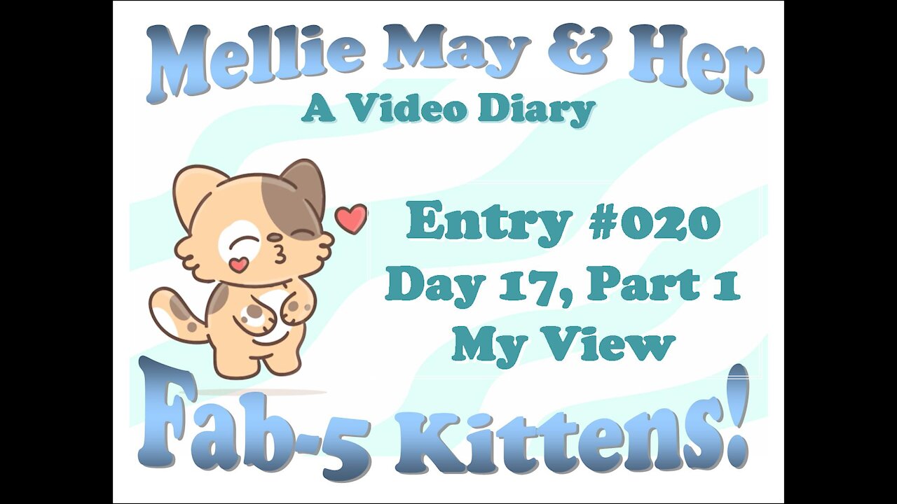 Video Diary Entry 020: Day 17, Part 1 - My View And I Am Loving It!