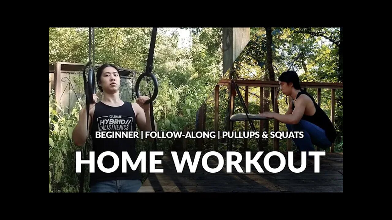 Day 2: Pullups & Squats | Beginner's Home Workout