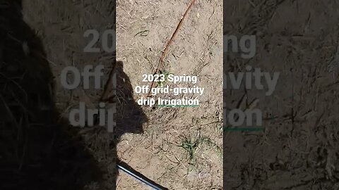 2023 Spring Off-Grid gravity drip irrigation system