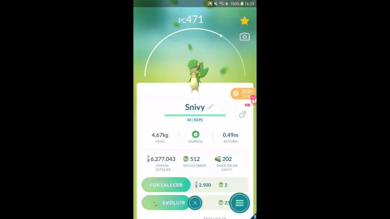 Live de Pokémon GO - Dia Comunitário de Geodude de Alola