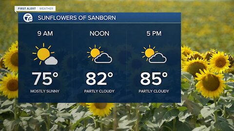 7 First Alert Forecast, 6 p.m. Update, Saturday, August,7