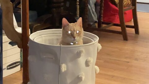 Hey there!