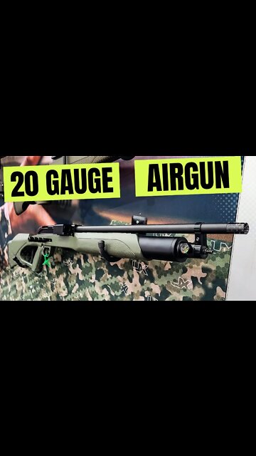 20 gauge airgun!!! #shorts