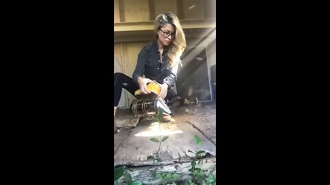 Bee Lady