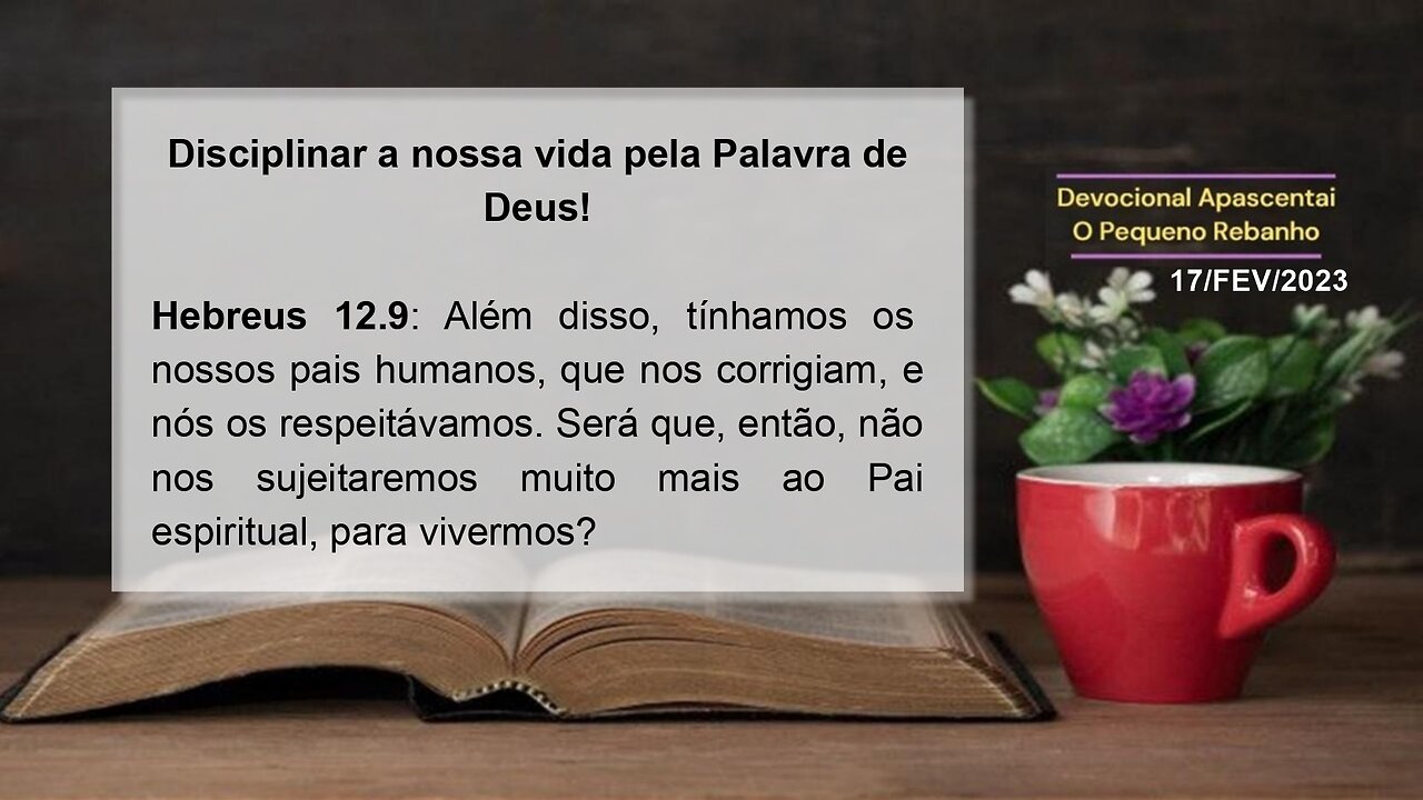 DEVOCIONAL - Disciplinar a nossa vida pela Palavra de Deus!