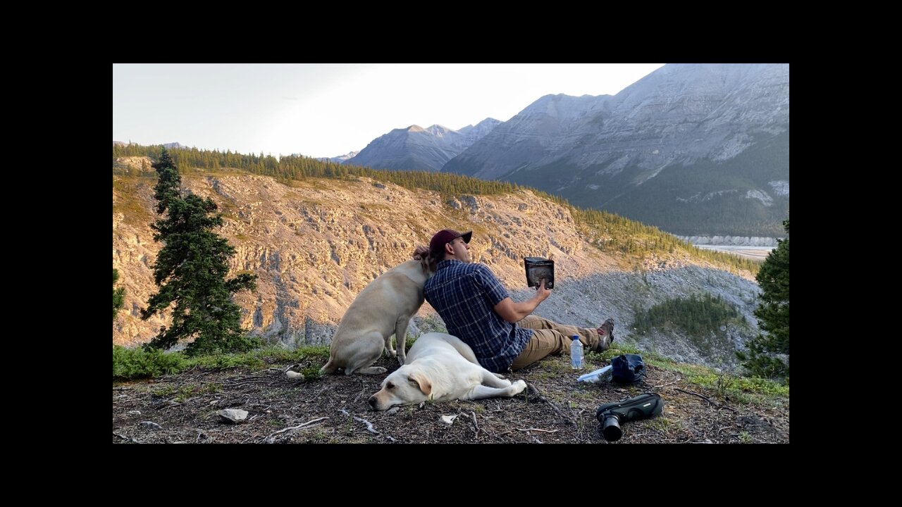 Solo CAMPING. Tent - Dogs - Mountains - Wildlife