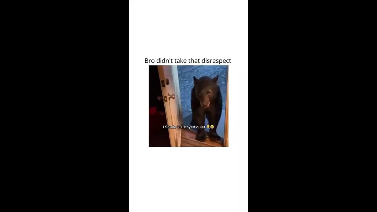 Bear didn’t take that disrespect