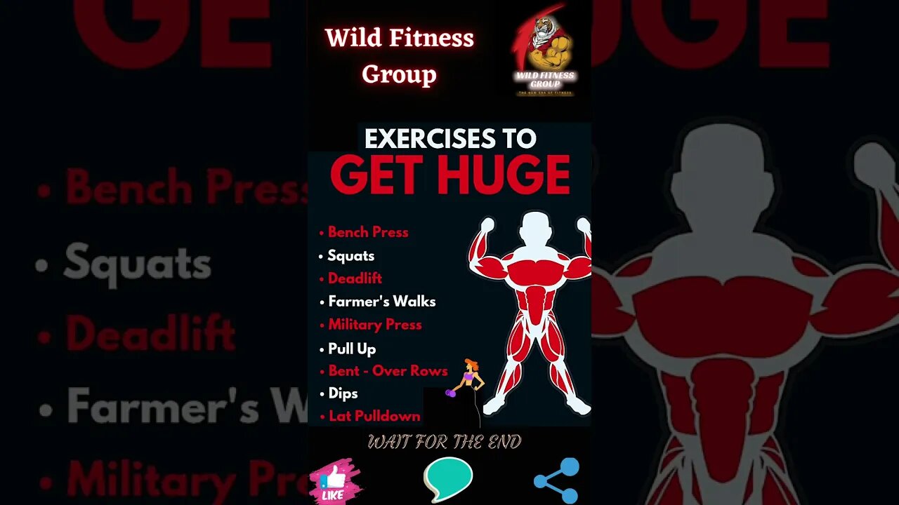 🔥What are the exercises to get huge🔥#shorts🔥#wildfitnessgroup🔥21 April 2023🔥