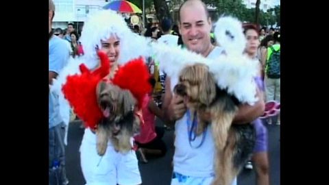 Doggy Carnival