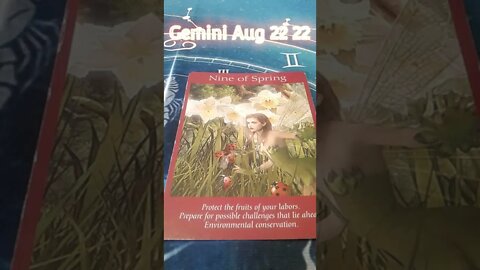 #Gemini Tarot reading For the week of August 22nd 2022 #Shorts