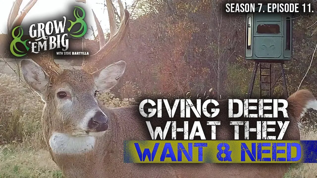 Understand Whitetail Behavior for Better Deer Hunting