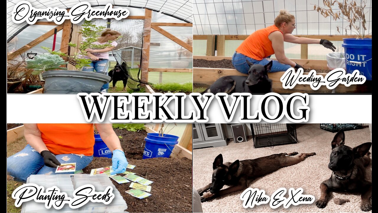 WEEKLY VLOG + ORGANIZING GREENHOUSE + PLATING SEEDS + WEEDING GARDEN