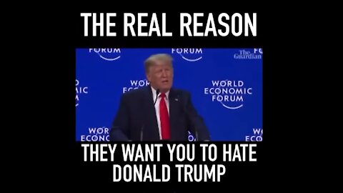 Real Reason Globalist Elites Want YOU to Hate Donald Trump [mirrored]