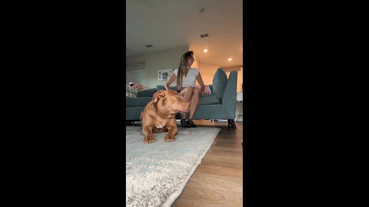 😂😂