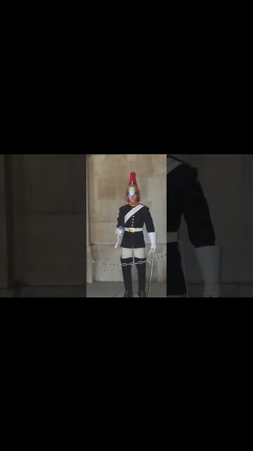 school girl runs when queens guard shout get back #horseguardsparade