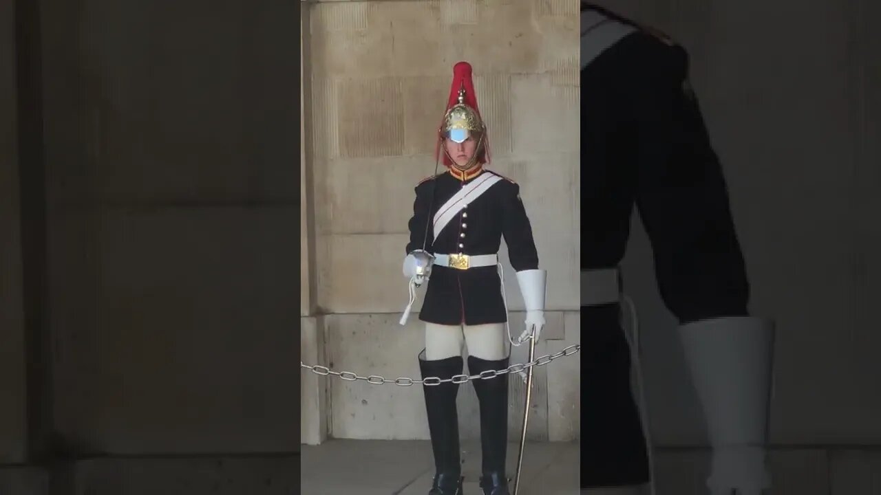 school girl runs when queens guard shout get back #horseguardsparade