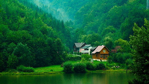 Build house in forest