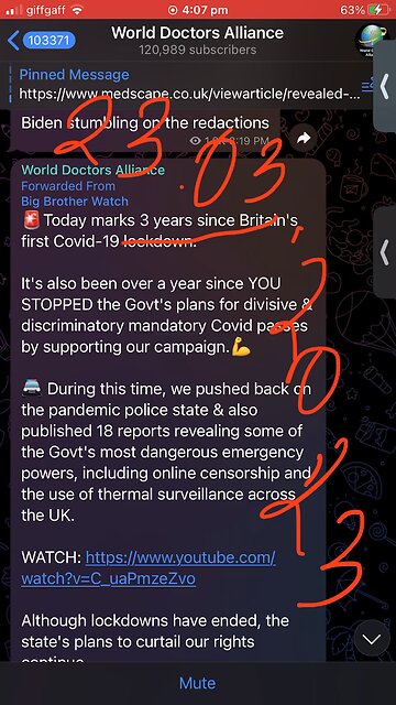 World Doctors Alliance : Brigade 77