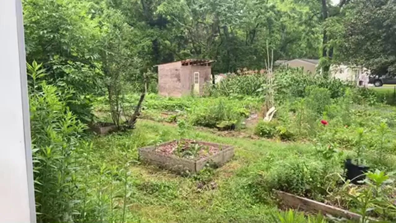 Morning coffee with community.