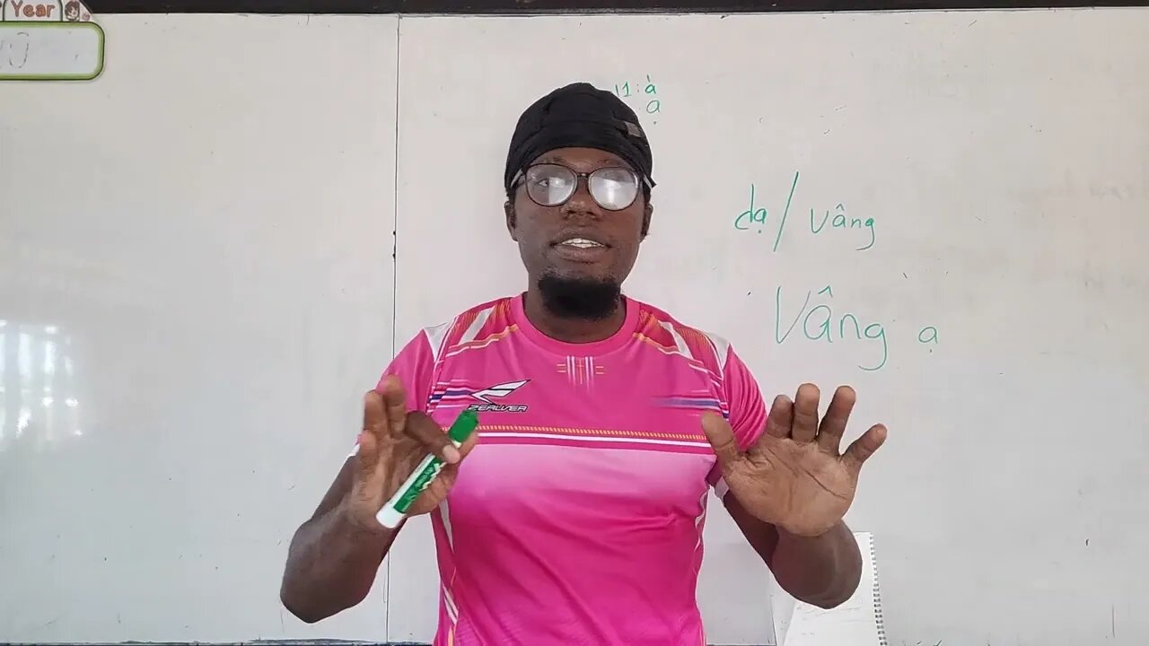 A ghetto review of the Vietnamese ending particles (ạ) 2/5