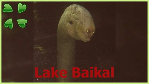 4Chan Scary Stories :: Lake Baikal