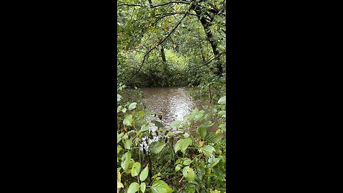 River after rain while camping