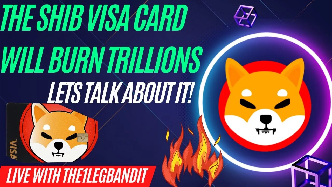 SHIB VISA TO BURN TRILLIONS